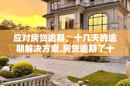 应对房贷逾期，十几天的逾期解决方案,房贷逾期了十几天怎么办