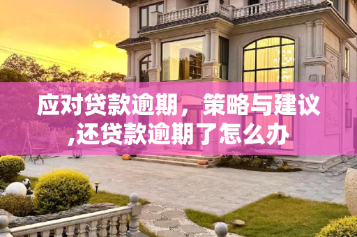 应对贷款逾期，策略与建议,还贷款逾期了怎么办