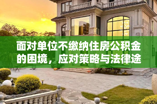 面对单位不缴纳住房公积金的困境，应对策略与法律途径,单位不缴纳住房公积金怎么办